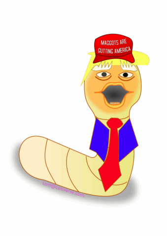 Maggots Are Gutting America